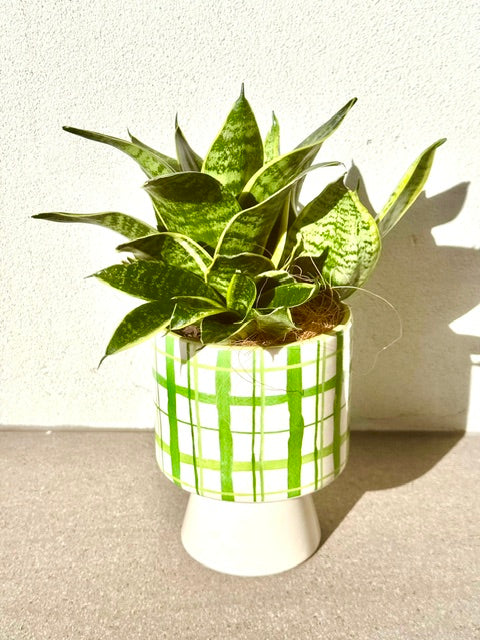 Green Retreat