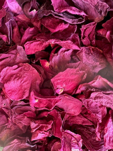 A close-up image of burgundy dried rose petals, showing their texture and rich color.