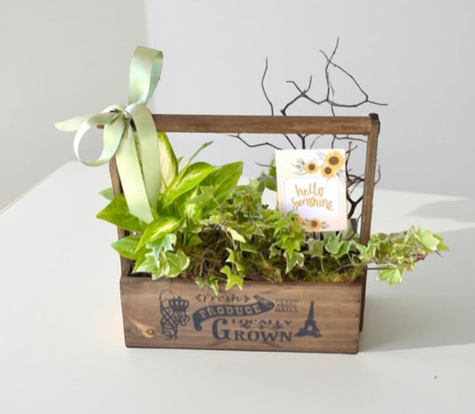 A wooden planter crate with a selection of plants and a note card, tied with a green ribbon.