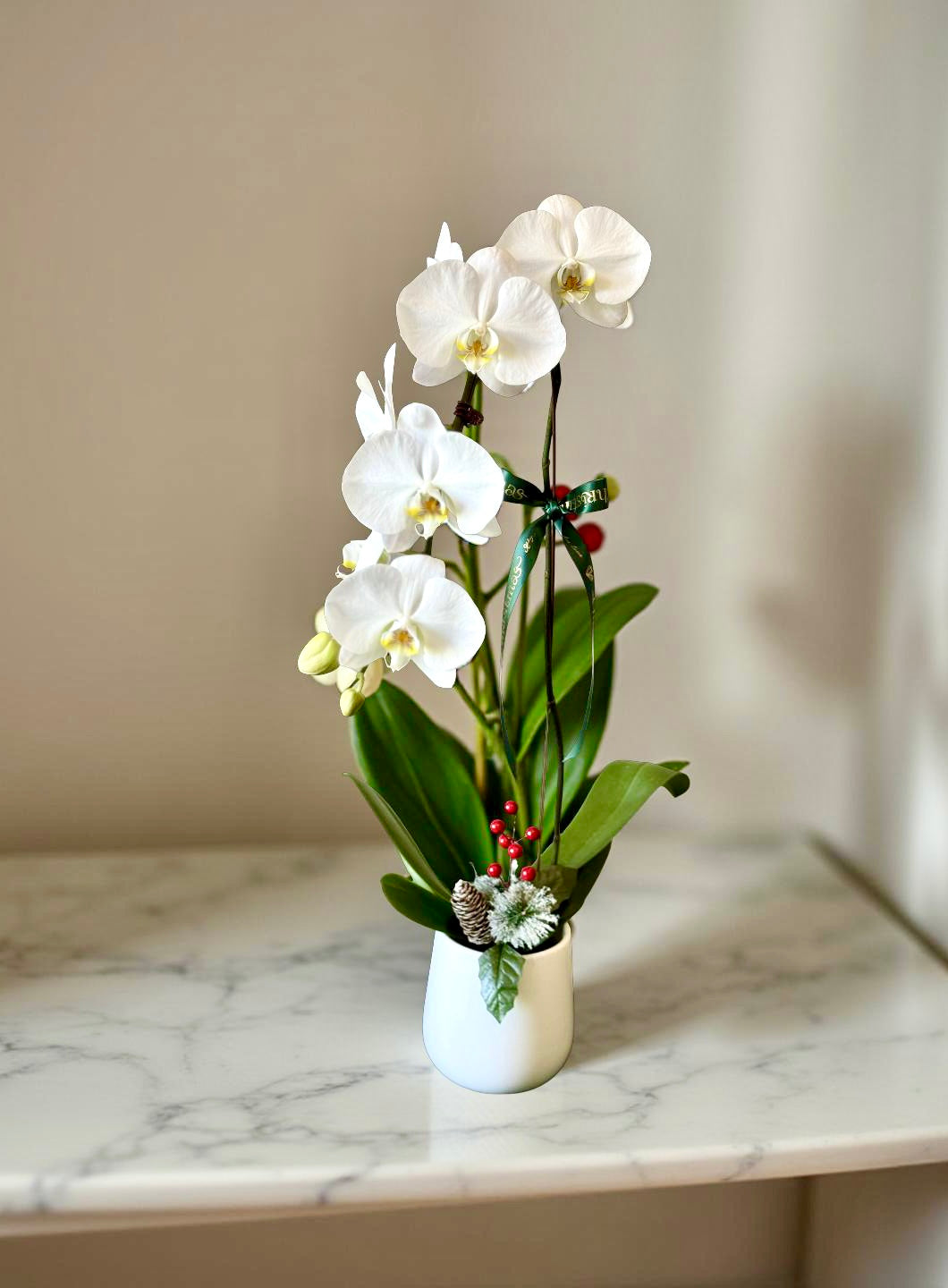 White orchids in a vase on a marble surface with a neutral background