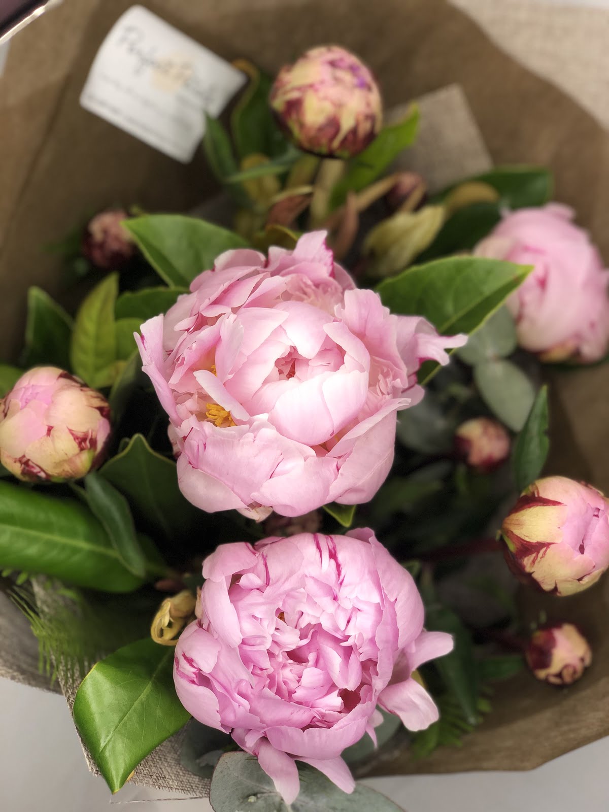 Perfect Peonies