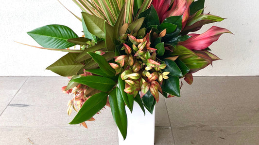 Corporate Event Flower Design in Brisbane