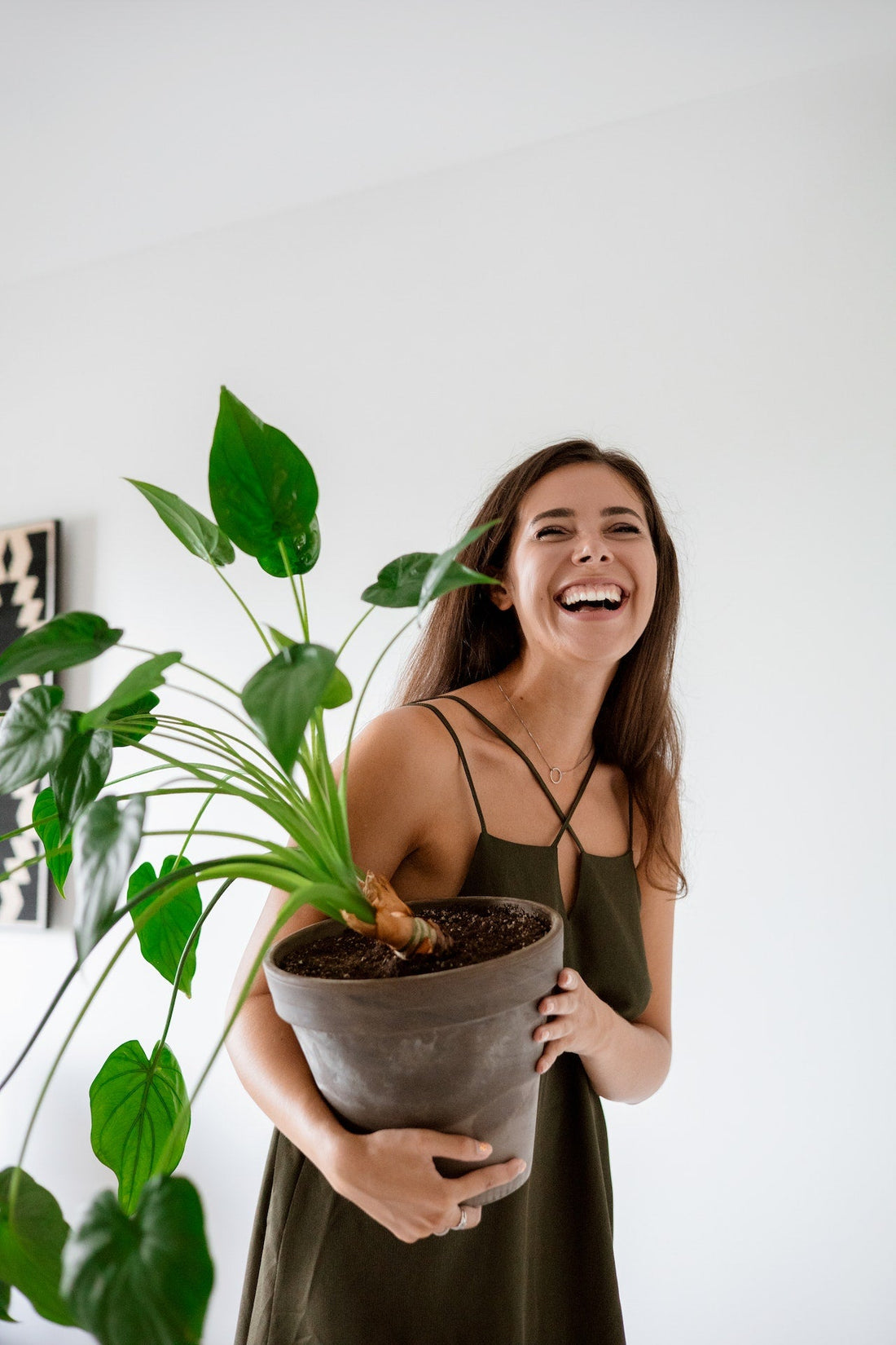 How indoor plants help our physical and emotional health