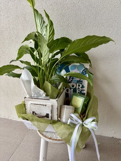 Urban Jungle Peace Lily Gift Hamper with ECOYA Candle & Plant Book