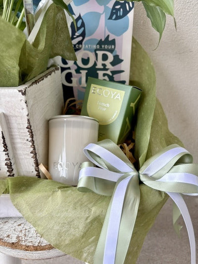 Urban Jungle Peace Lily Gift Hamper with ECOYA Candle & Plant Book