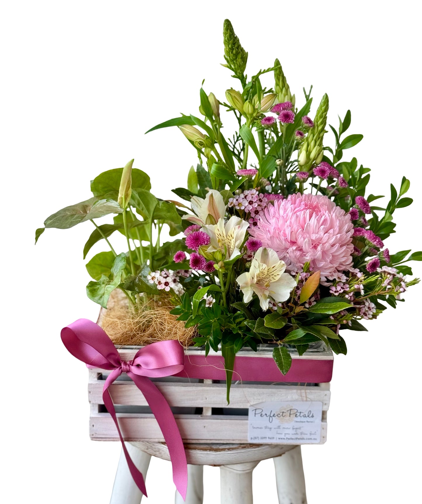 Flowers & Garden Crate with living plant and fresh flower arrangement in a white wooden box with pink ribbon – Perfect Petals Brisbane.
