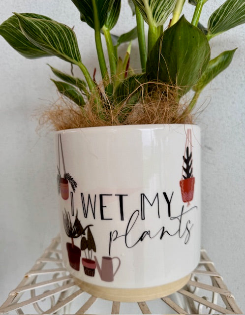 I Wet My Plants
