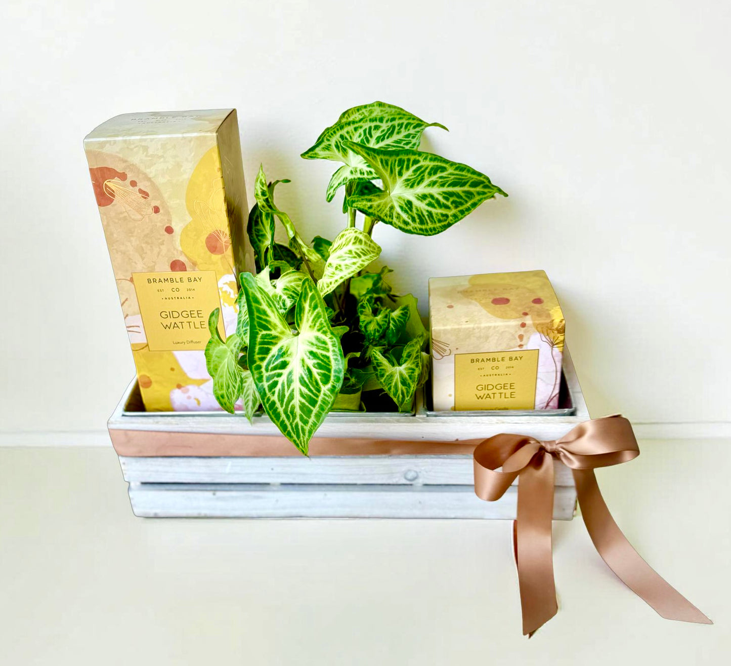 Potted plant with Bramble Bay Co Gidgee Wattle diffuser and candle in white wash wooden crate 