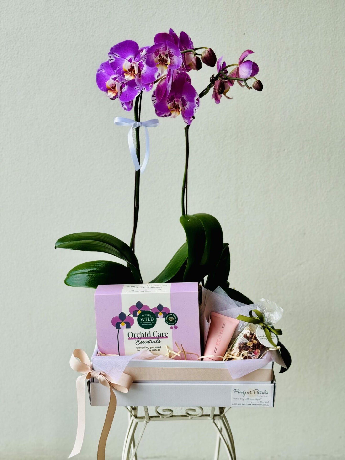 Orchid Lovers Delight