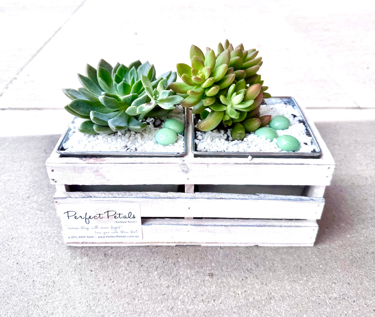 Living Luxe Succulent Crate