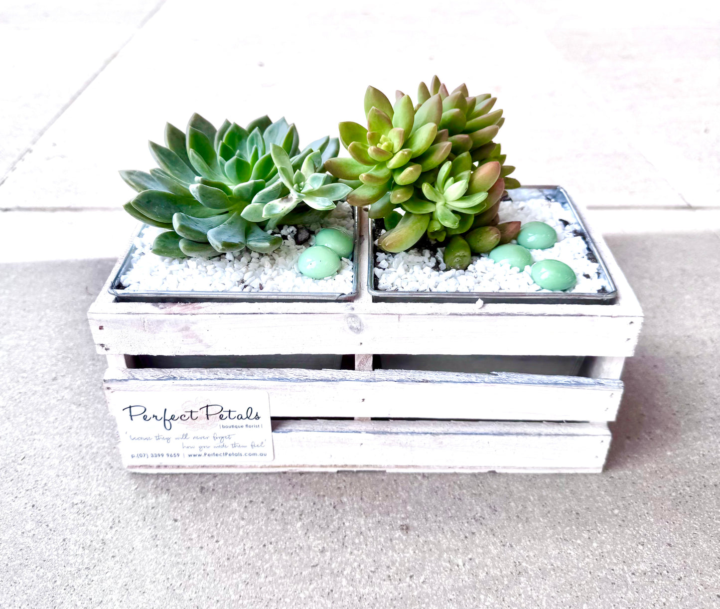 Living Luxe Succulent Crate