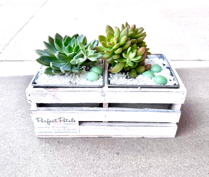 Living Luxe Succulent Crate