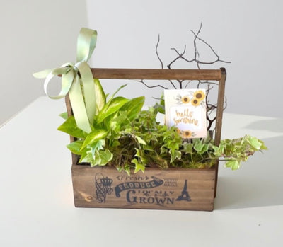 A wooden planter crate with a selection of plants and a note card, tied with a green ribbon.