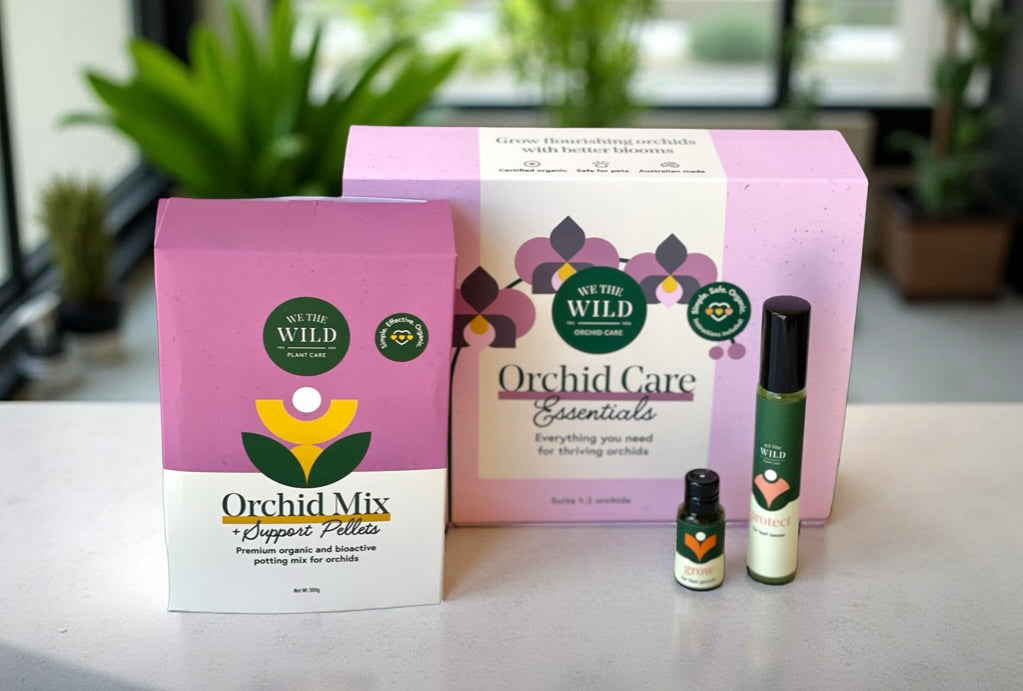 We the Wild Orchid Care