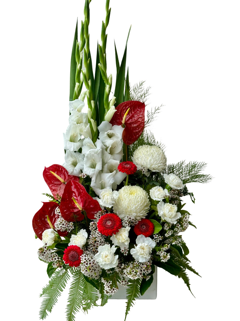 Modern red and white Christmas floral arrangement with anthuriums, gladioli and seasonal flowers in a long white ceramic container.
