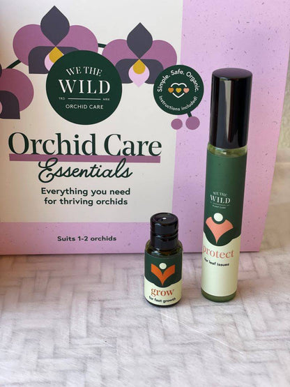 We the Wild Orchid Care