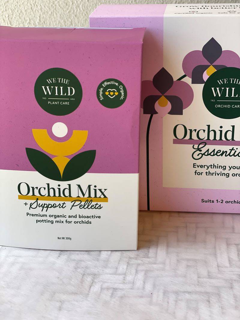 We the Wild Orchid Care