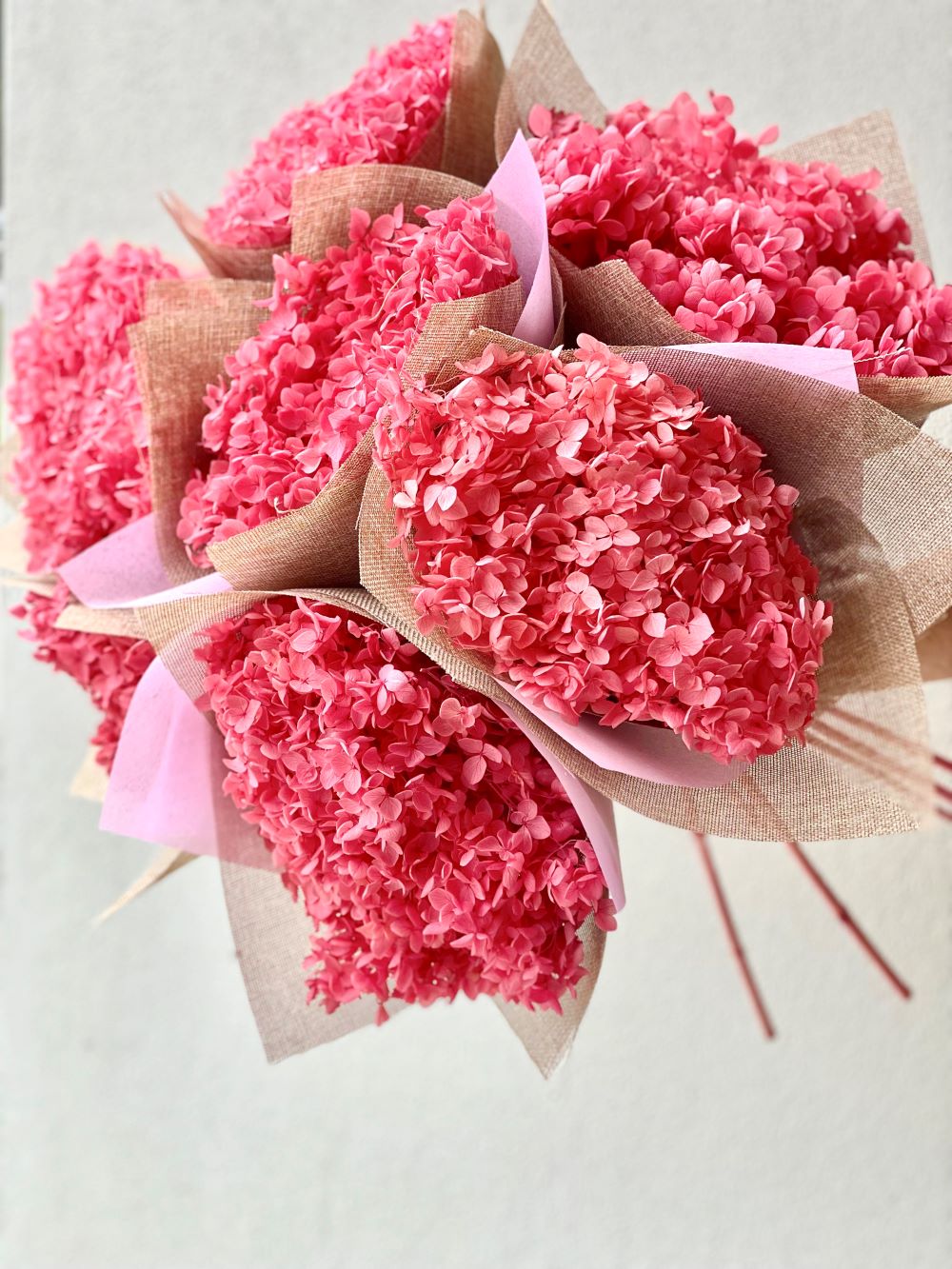 Preserved Hydrangea