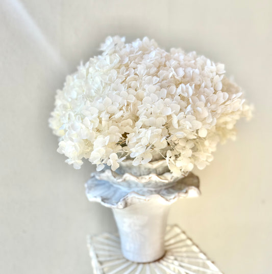 Luxury everlasting hydrangea in sculptural ceramic vase