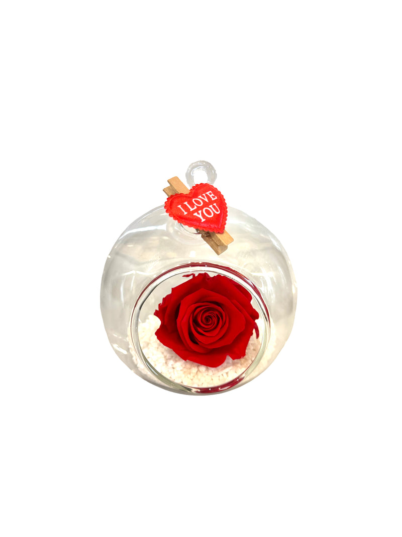 Preserved red rose in glass dome with I Love You detail, long lasting eternal rose gift display