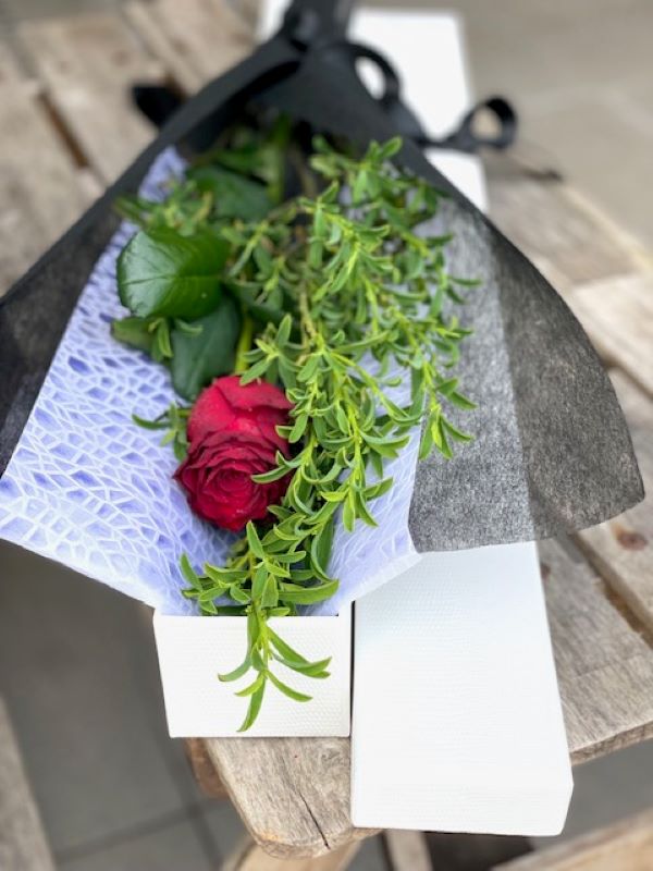 single long stem red rose