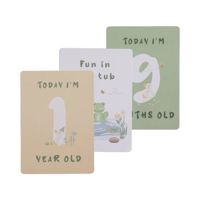'Loosey Goosey' Baby Milestone Cards