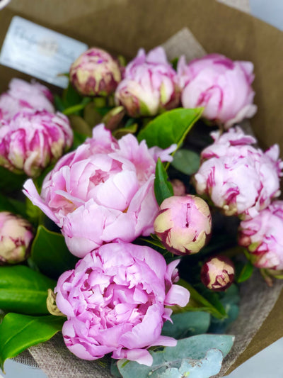 Perfect Peonies