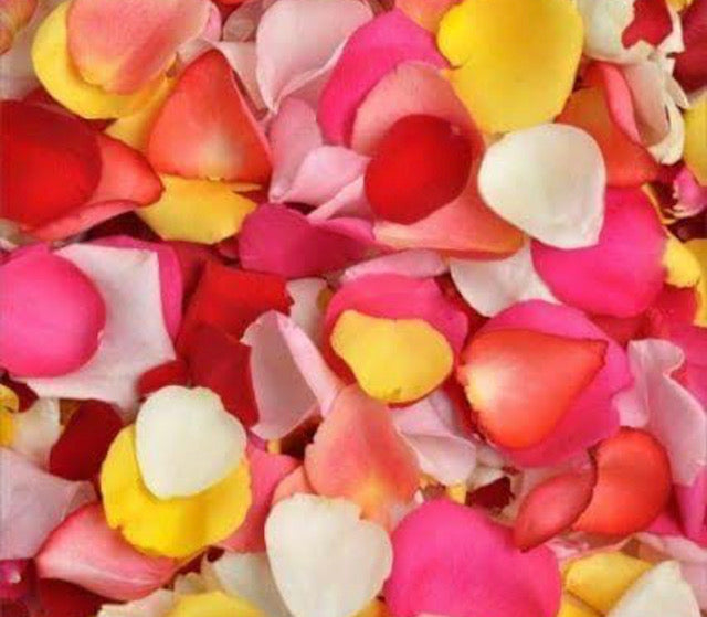 mixed coloured fresh rose petals